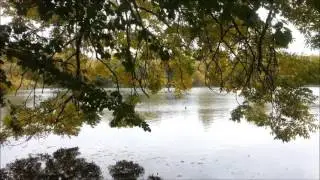 Stanley Park Lake