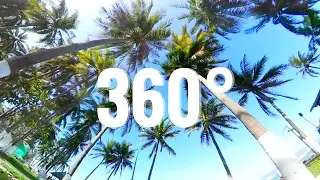 Relaxing Beach Palm Trees 360&deg; - Vietnam Sea breeze at the Ocean 4K UHD