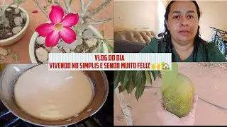 VLOG DO DIA🏡vivendo e sendo feliz no SIMPLIS 🏡🙌❤️🌹🌄 #rotinadodia #donadolar #donadecasablogueira 