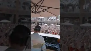 Summer Vibes With Tiesto #music #edm #musicfestival #tiesto #summervibes #summer #tomorrowland