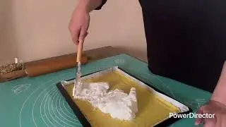 ՏՈՐԹ ՍՆԻԿԵՍ