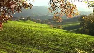 ALTA IRPINIA angelo verderosa 2.mov