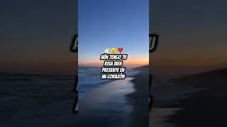 🕊️💔 #duelo  #muerte  #dueloconamor  #procesodeduelo  #perdida #luto  #amoreterno #dolor #sanar