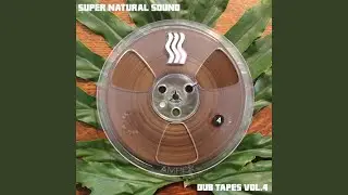 Flash Dub