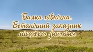 Балка Північна - заказник місцевого значення Великоновосілківського району.