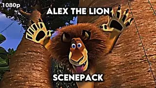 Alex The Lion Scenepack