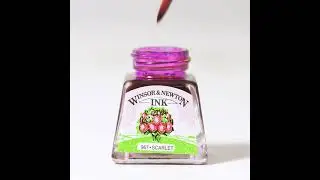 Winsor & Newton - Versatile Drawing Ink