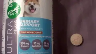 GNC Pets Ultra Mega Urinary Support Chicken Flavor Chewable Dog Supplement
