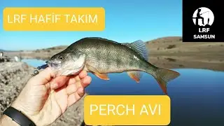 Hafif takım ve plastik sahtelerle tatlısu levreği  avı