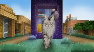 Minecraft with Main Coon Cat Poppi