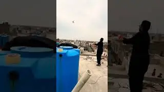 Basant Season 2024😂😂😂 #basant2024 #basant2023 #basant #kiteflying #basantkiteflying # #kiteflying
