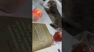 Вечер с aroma.cosmic