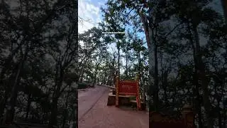 Amarkantak Sunrise 🌄 | Sonmuda View | Saiyaara Vibes