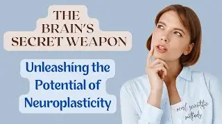 The Brain's Secret Weapon Unleashing the Potential of Neuroplasticity