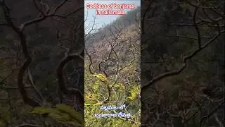 secret place in nallamala , goddess of banjaras #nature #trekking #nallamala #srisailam