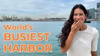 Environmental Monitoring Buoy for Wave Measurement in Singapore | NexSens Case Study