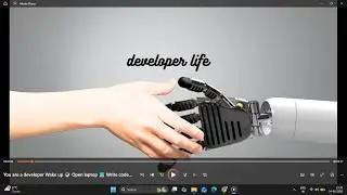 Developer Life in 10 Seconds