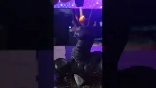 Dragon Smoker. #meme #firefail