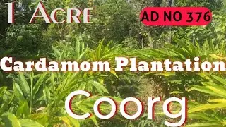 1 Acre Cardamom Estate For Sale