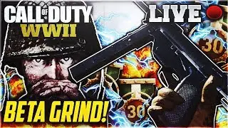 NEW LEVELS, WEAPONS, SCORESTREAKS! WW2 BETA LIVE