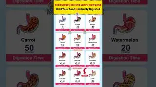 Food Digestion Time Chart: How Long Until Your Food Is Actually Digested? | From Water to Meat