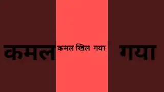 NDA win@ news politics