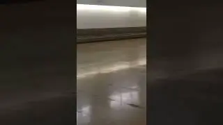 At the Airport in San Juan Puerto Rico trying to get  a Room at the hotel