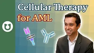 What is cellular therapy? Is this currently being used to treat AML? #AML