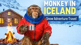 Monkey Travel Vlog in Iceland | Snow Mountains and Winter Adventure | Monkey Travel