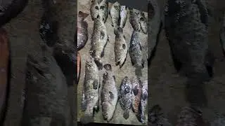 fresh na fresh ang mga isda.😍#barbiemarimar #shorts #cute #shortvideo #explore #food