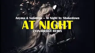 Anyma & Solomun &ndash; At Night by Shakedown (ZAYNTOLOGY Remix) | Deephouse | Melodic Techno | Club Mix