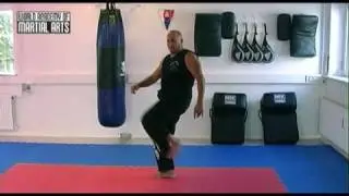 Krav Maga - 6 basic kick techniques in Krav Maga LI