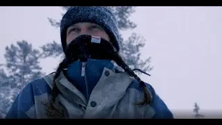 Dog sledding in Sweden - You have to try it to understand.