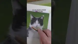 How To Draw Whiskers on a Cat