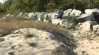 Openlands Lake Shore Preserve