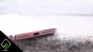 LeEco Le 2 CDLA Audio Experience (USB Type C, Ear Pods, Type C Adapter)