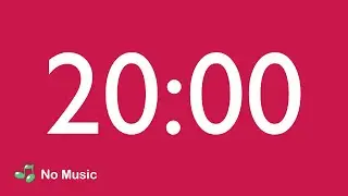 20 Minute Countdown Timer
