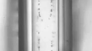 Optical distortion of an acoustic field