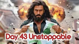 Dhurandhar Day 43 Unstoppable Box Office Collection Update