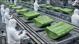 Inside a Modern ALOE VERA Juice Factory - From Farms To Juice Full Factory Process