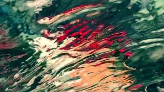 Rich Jacques - 