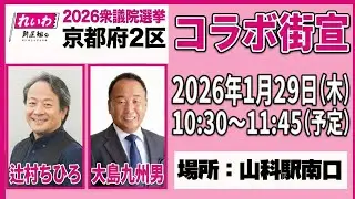 【れいわの街頭演説】京都二区 辻村ちひろ応援！
