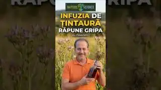 Ai Gripă? Bea Țintaură! Rețetă Naturală - Leacuri Bătr&acirc;nești! #shorts