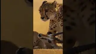 The Silent Whistle of the Hunt 😂🤣 #viral #animals #wildlifeentertainment #wildlife