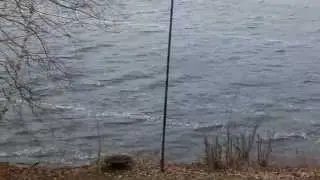Swiftly moving river in Amery, WI