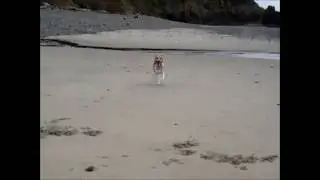 Zombie at the Beach 2012