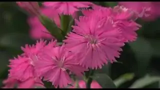 My favorite KOUNOSU【私の好きな鴻巣】