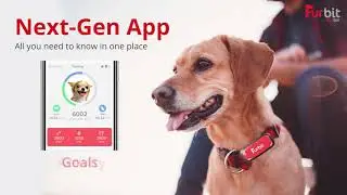 Furbit   Know Your Pet Like A Vet!