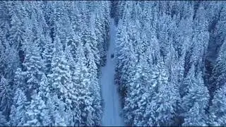 Relaxing music -calm music |use the headphone better effects |chrods studio present