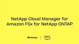 NetApp Cloud Manager for Amazon FSx for NetApp ONTAP